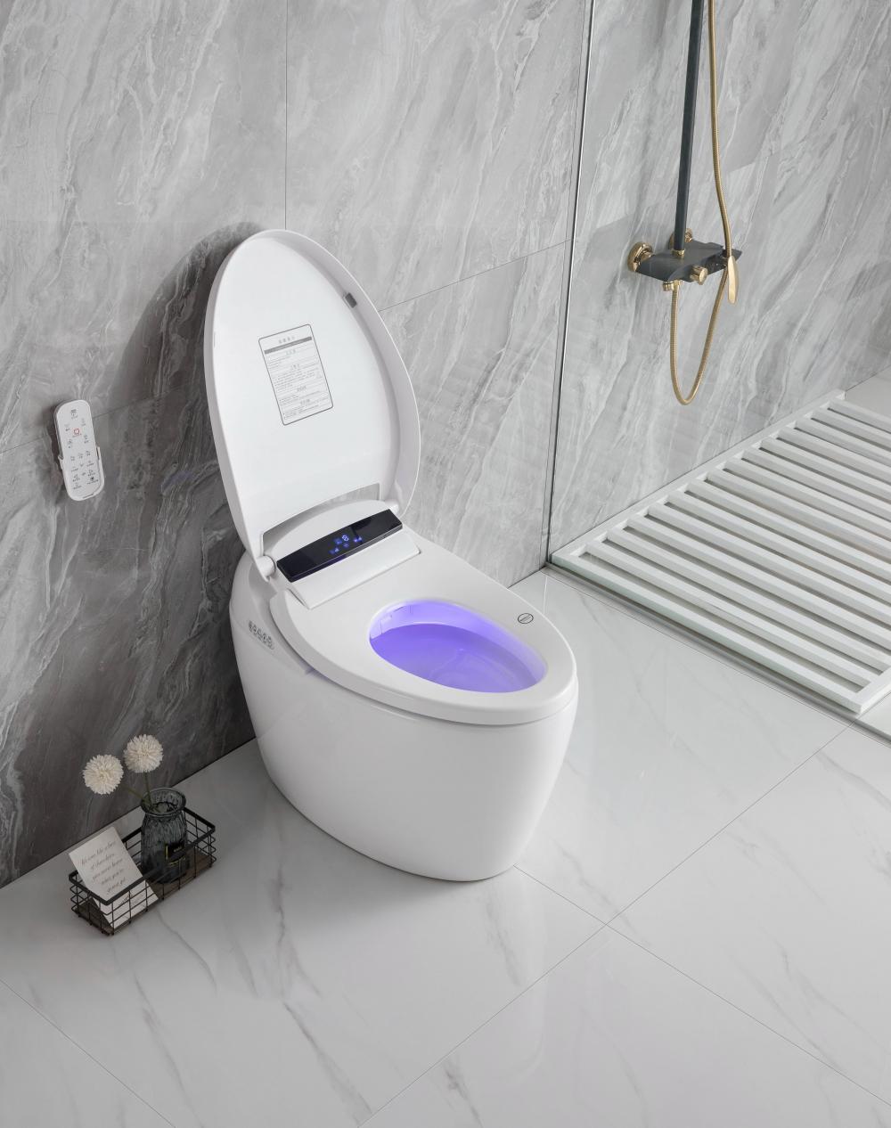 2206 6 Smart Toilet