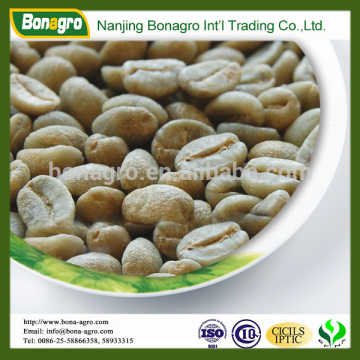 wholesale arabica green coffee bean