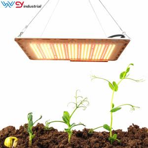 WENYI quantum board grow light 120w 240w