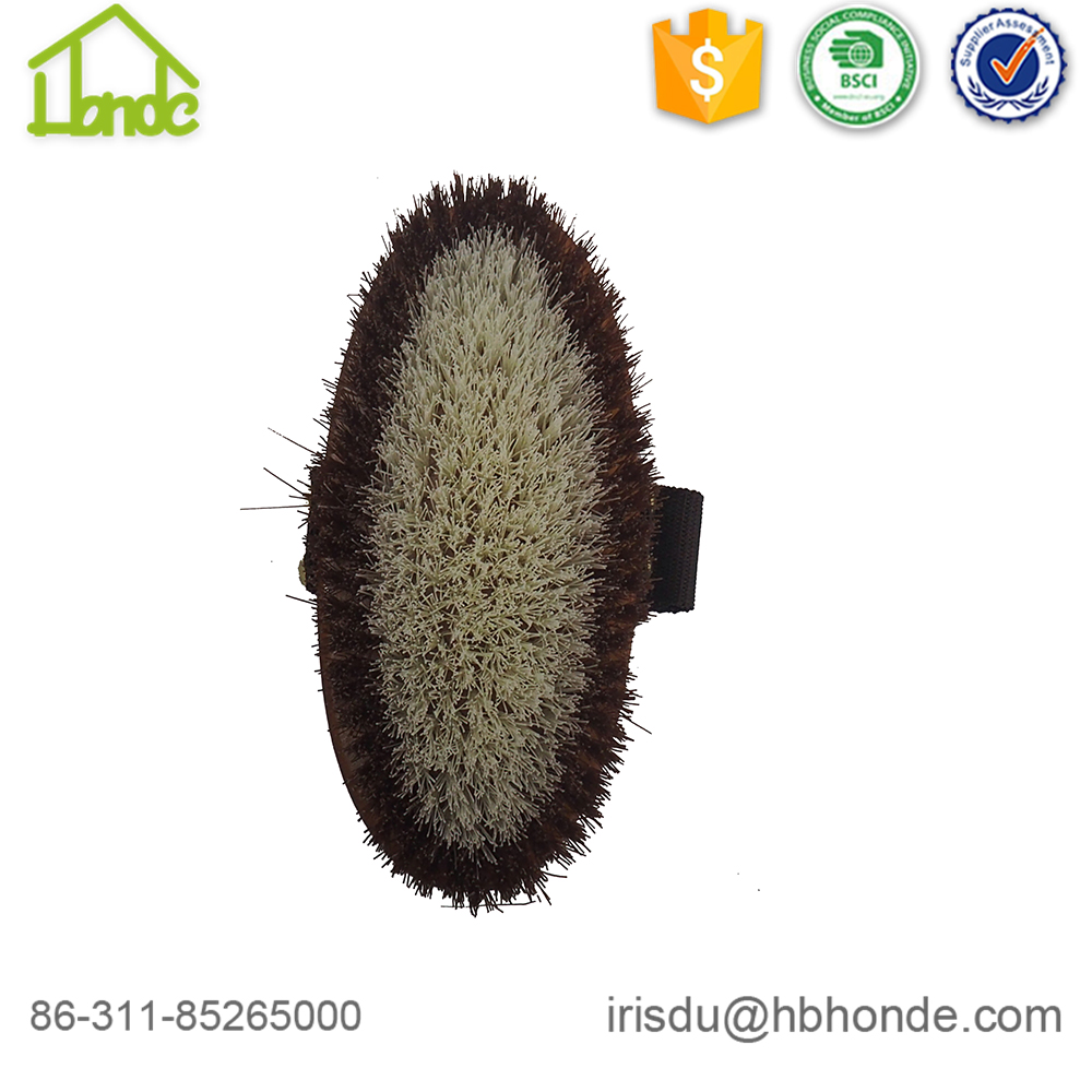 Equine Grooming Kit Horse Hair Brush