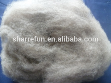 professional animal fibre supplier carded and dehaired brown raccoon hair