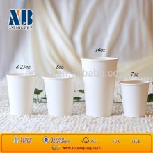 pla paper cup
