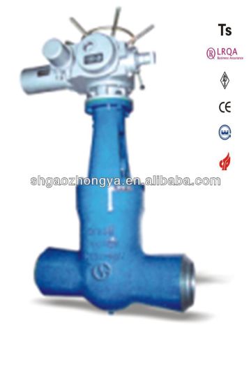 "Class 900Lb" globe valve for chemical industry