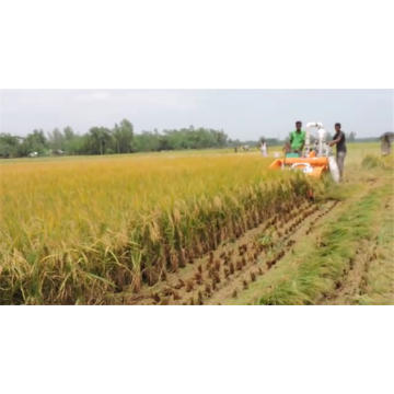 Bes rice harvest machine rice hand harvester