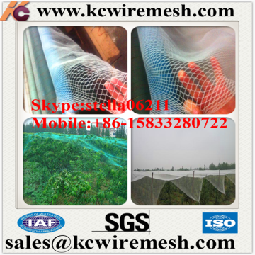 Factory!!!! Here!!!!! KangChen plants protection net, anti frost net, pe anti hail net for orchard apple hail protection nets