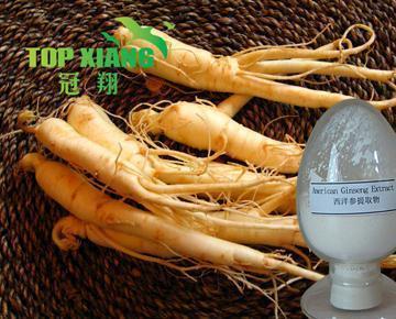 America Ginseng extract