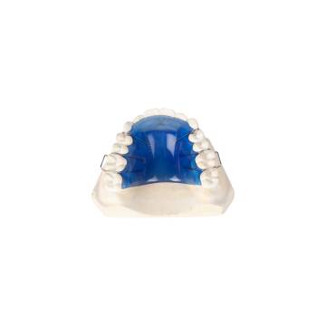 Dental Orthodontic Appliance Retainer