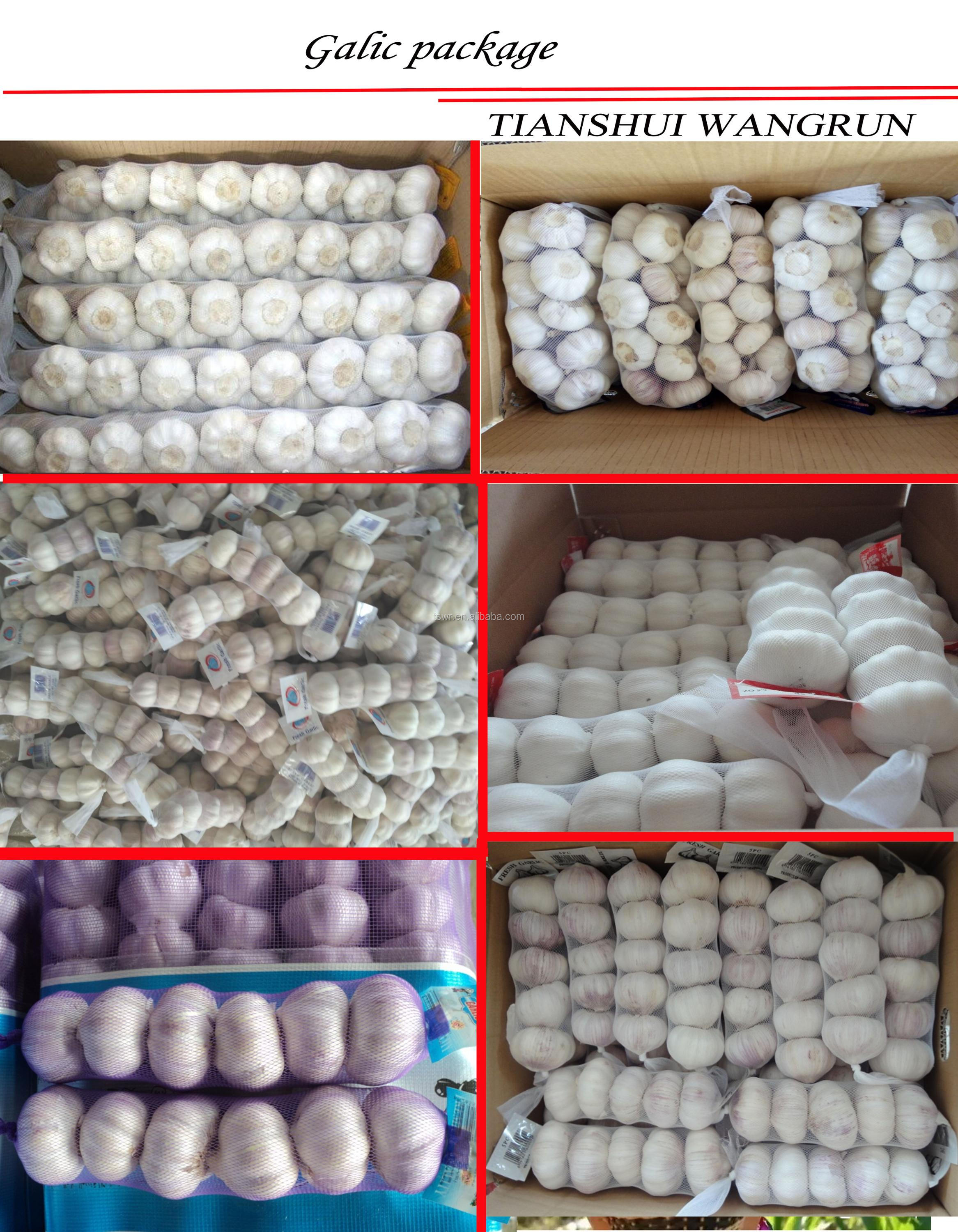 china cheap garlic chinese normal white garlic fresh garlic price