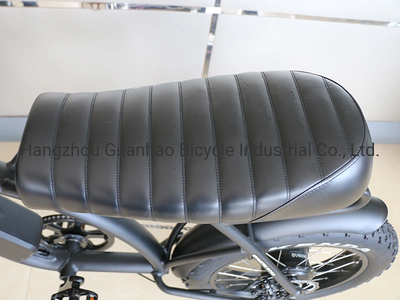 20inch En15194/CE OEM/ODM Samsung 17ah Battery New Ebike with Motor 48V 1000W Fat Tire Super 73 Electric Bike