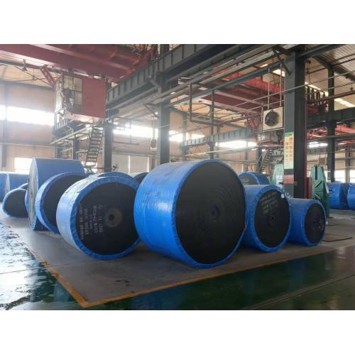 Best price nylon 100 conveyor belt