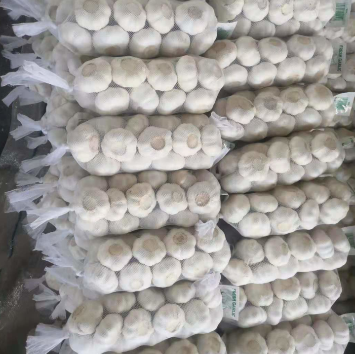 China pure white garlic factory sale, new crop fresh garlic export 2021