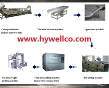 Medicinal Slices Microwave Vacuum Dryer