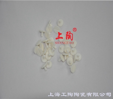 99% Alumina Ceramic Screws