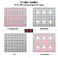 Draw Power 600W Cree COB LED Fixture