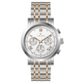 Stainless steel Sport Chronograph man's quartz watch