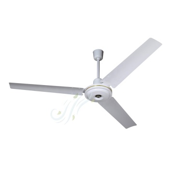 Modern Design DC Decorative Ceiling Fan For Home