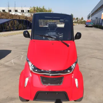 EEC Coc CE Approved Pure Electricity Smart Car
