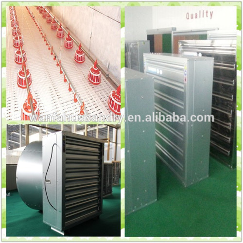 wanfa high quality competitive price poultry floor-raising system