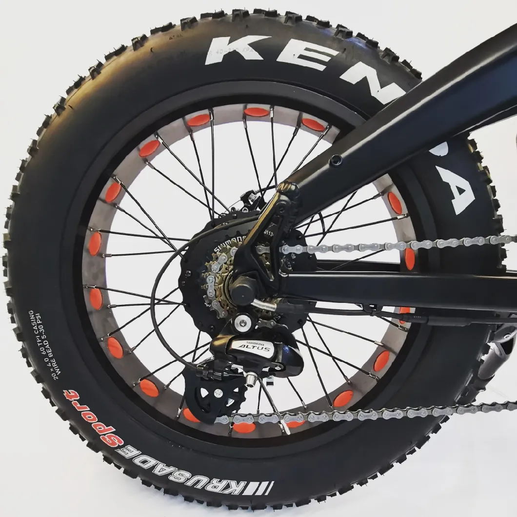 20′ ′ Fat Tire External 7 Speeds Electric Folding Bike 36V 250W