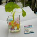 Colorful Magic Crystal sols pour plantes décoration