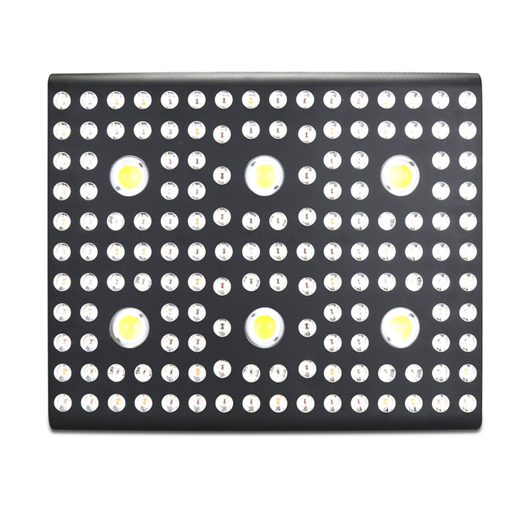 2021 COB LED Grow Light Terbaik 3000w