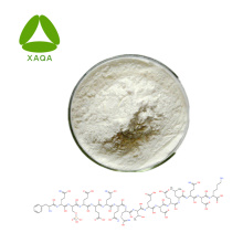 Food Additive Casein Protein 99% Powder Cas No.9000-71-9
