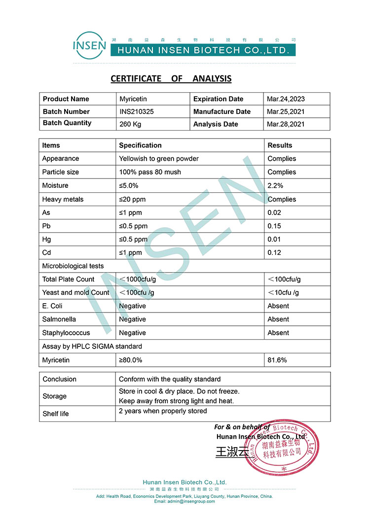 Factory Supply Natural Source Myricetin Extract Powder