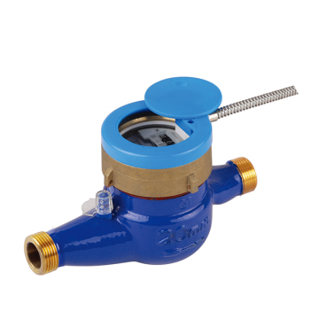 Liquid sealed remote water meter