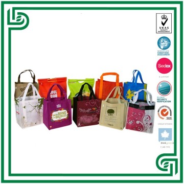 PP Nonwoven Shopping Bag for Promotion