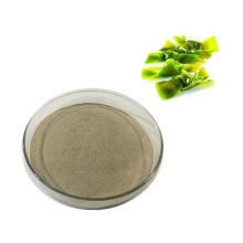 Best Food Use kelp juice powder