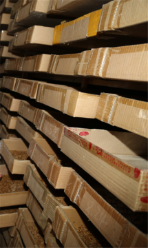 Cheap live yellow mealworms for pet food