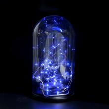 The glass dome at home/restaurant