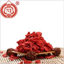 Super Berry Sun Dry Goji Berries Czerwone owoce