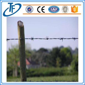 Stainless galvanized and PVC coated Barbed wire