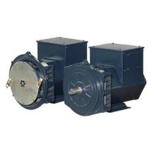 Diesel fuel powered eletrical generator