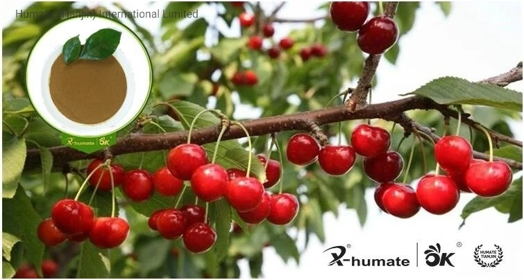 X-Humate Fertilizer 50% 60% 80% 95% Brown Potassium Fulvate Bio Fulvic Acid Powder