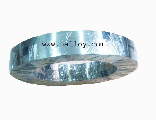 Nickel Chromium Alloy Strip/Wire (Ni60Cr15)