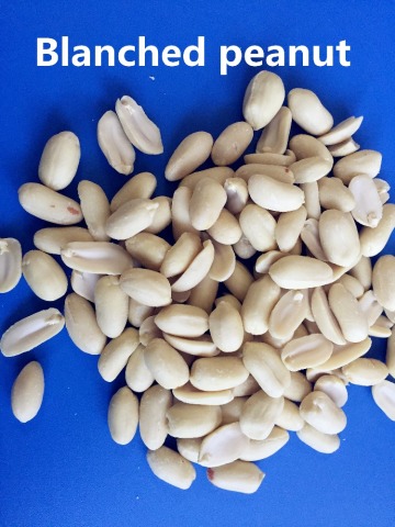 2015 crop blanched peanut kernel