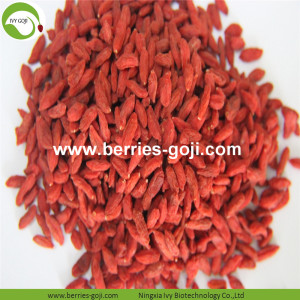 Nhà máy Cung cấp Trái cây khô Khô Goji Berry