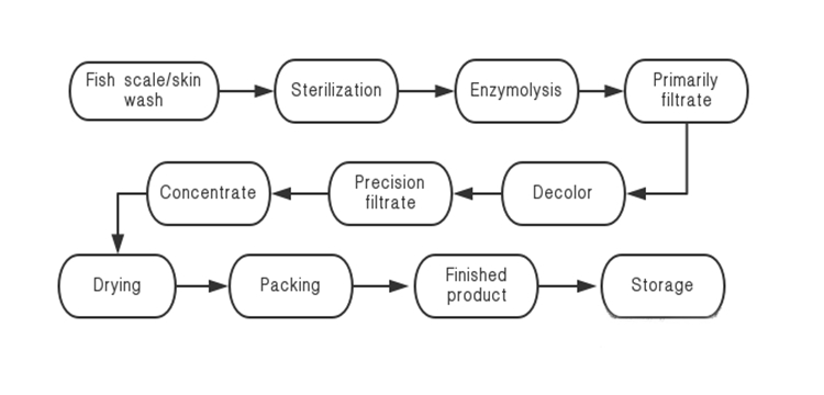 collagen flow chart