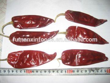 spicy Chilli