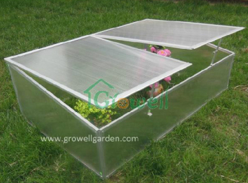 Cold Frame Greenhouse for Young Plants (C502)