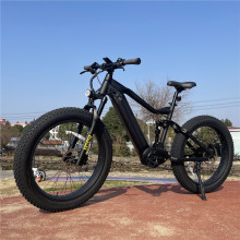 vélo électrique vélo électrique vélo de pneu électrique électrique