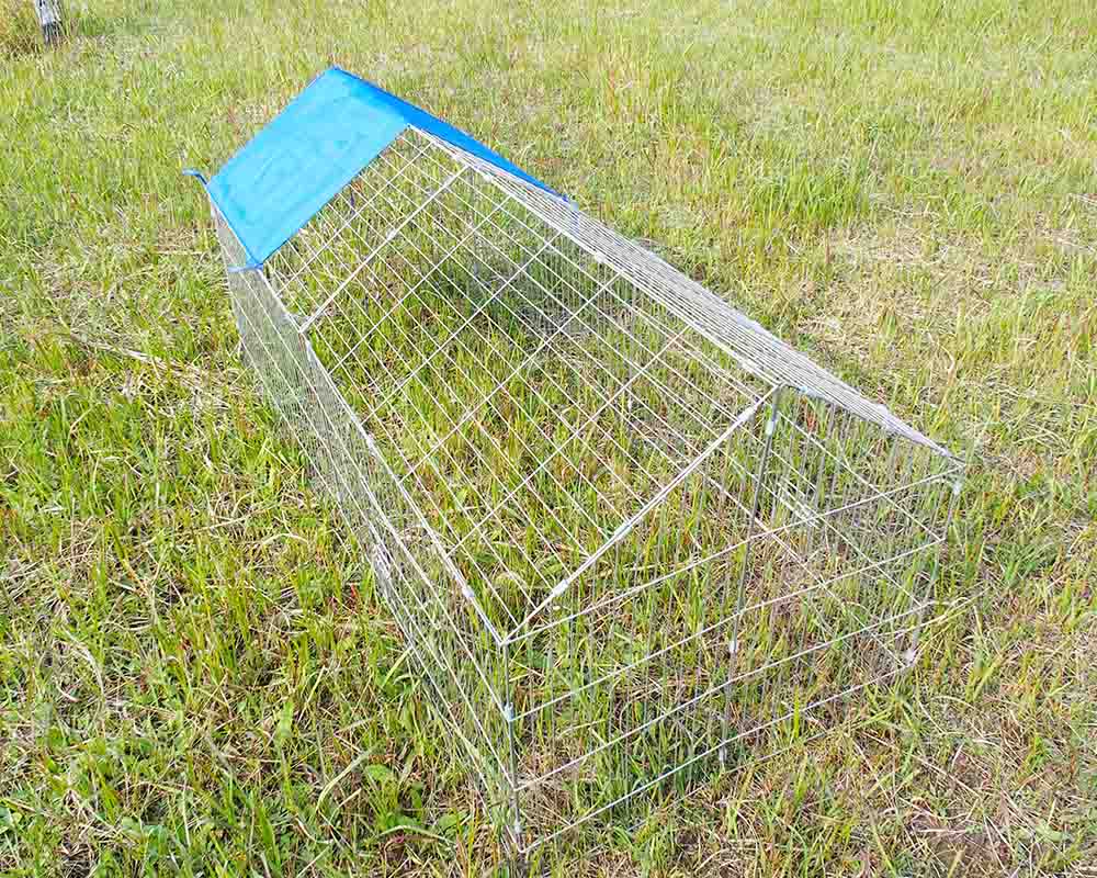 Hühnerstall Chicken coop