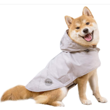 رمادي الكلب المطر المعطف مع غطاء محرك السيارة