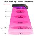 Phlizon Zimmerpflanzen LED Grow Light 600W