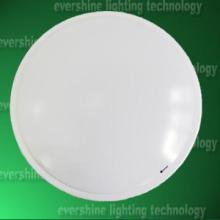 China high quality  LED ceiling light