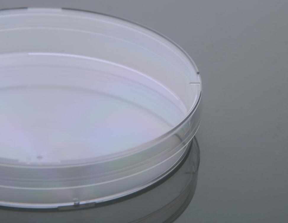 Petri Dish Petri Dish