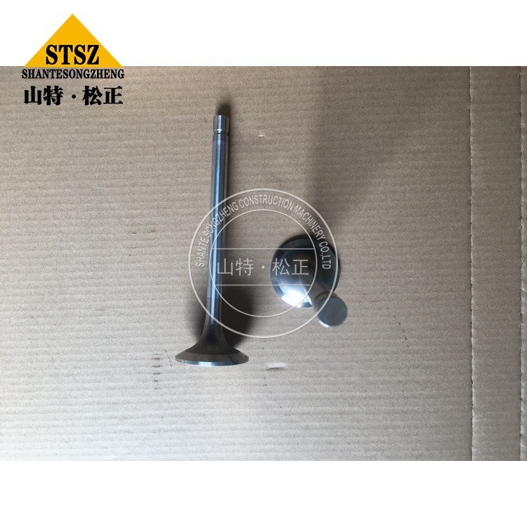 3803515 3 Jpg 3803515 3 Jpg