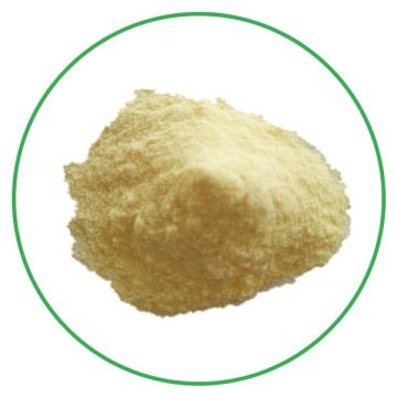 Hot sale natural freeze dried organic orange powder